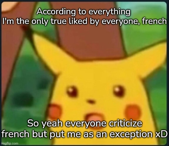 Surprised Pikachu | According to everything 
I'm the only true liked by everyone, french; So yeah everyone criticize french but put me as an exception xD | image tagged in surprised pikachu | made w/ Imgflip meme maker