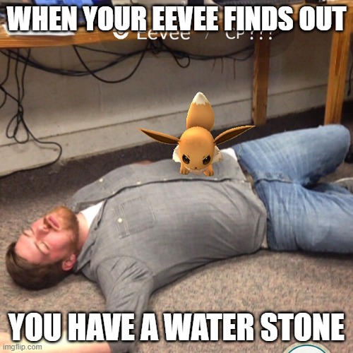 Angry Eevee | WHEN YOUR EEVEE FINDS OUT; YOU HAVE A WATER STONE | image tagged in angry eevee | made w/ Imgflip meme maker