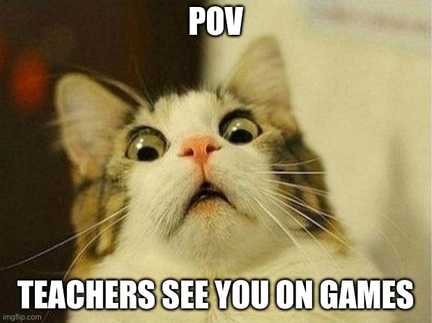 Pov | POV; TEACHERS SEE YOU ON GAMES | image tagged in memes,scared cat | made w/ Imgflip meme maker