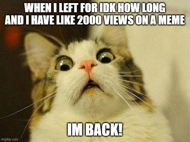Scared Cat Meme | WHEN I LEFT FOR IDK HOW LONG AND I HAVE LIKE 2000 VIEWS ON A MEME; IM BACK! | image tagged in memes,scared cat | made w/ Imgflip meme maker