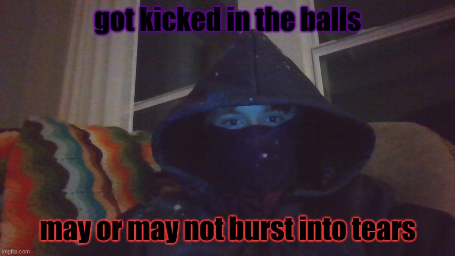 Virian hacker | got kicked in the balls; may or may not burst into tears | image tagged in virian hacker | made w/ Imgflip meme maker
