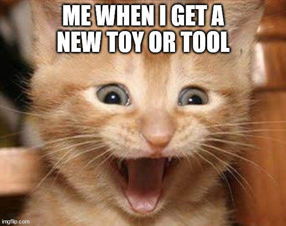Excited Cat Meme | ME WHEN I GET A
NEW TOY OR TOOL | image tagged in memes,excited cat | made w/ Imgflip meme maker