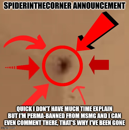 spiderinthecorner announcement | QUICK I DON'T HAVE MUCH TIME EXPLAIN BUT I'M PERMA-BANNED FROM MSMG AND I CAN EVEN COMMENT THERE, THAT'S WHY I'VE BEEN GONE | image tagged in spiderinthecorner announcement | made w/ Imgflip meme maker