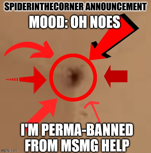 spiderinthecorner announcement | MOOD: OH NOES; I'M PERMA-BANNED FROM MSMG HELP | image tagged in spiderinthecorner announcement | made w/ Imgflip meme maker