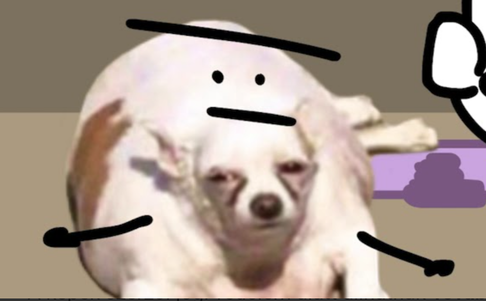 High Quality Plump Dog Dafuq? Blank Meme Template