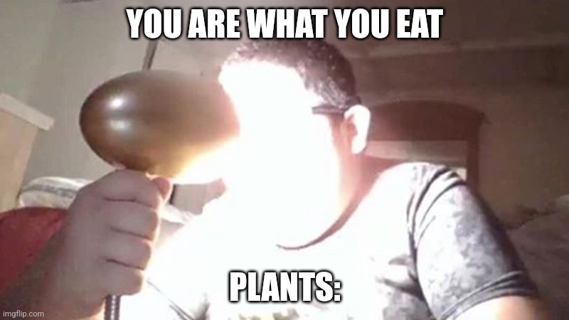 kid shining light into face | YOU ARE WHAT YOU EAT PLANTS: | image tagged in kid shining light into face | made w/ Imgflip meme maker