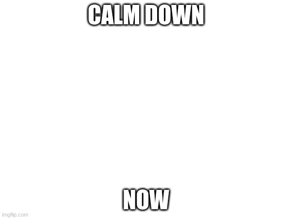 CALM DOWN; NOW | made w/ Imgflip meme maker