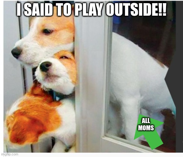 I SAID TO PLAY OUTSIDE!! ALL MOMS | image tagged in doge,funny,adorable,funny memes,cute dog,cute puppies | made w/ Imgflip meme maker