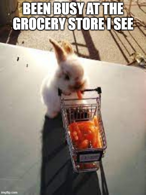 Carrot Haul | BEEN BUSY AT THE GROCERY STORE I SEE | image tagged in bunnies | made w/ Imgflip meme maker