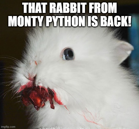 The Beast | THAT RABBIT FROM MONTY PYTHON IS BACK! | image tagged in bunnies | made w/ Imgflip meme maker