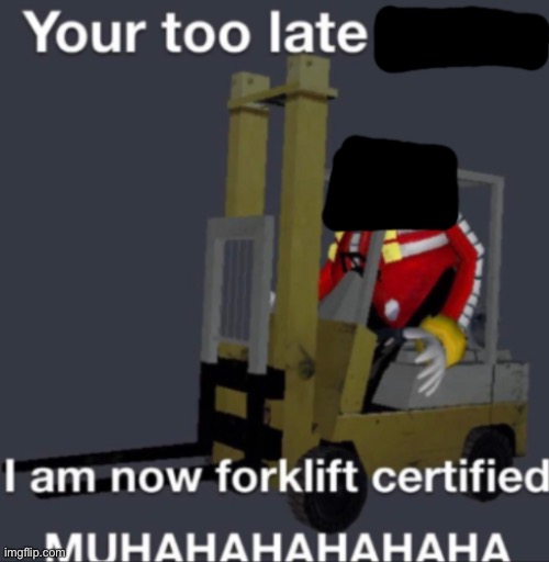 forklift certified | image tagged in forklift certified | made w/ Imgflip meme maker