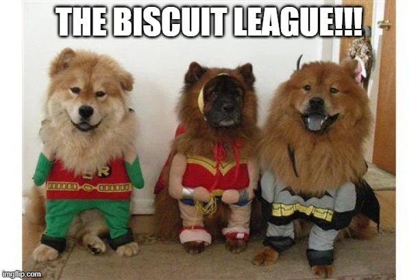 Super Dogs | THE BISCUIT LEAGUE!!! | image tagged in dogs | made w/ Imgflip meme maker