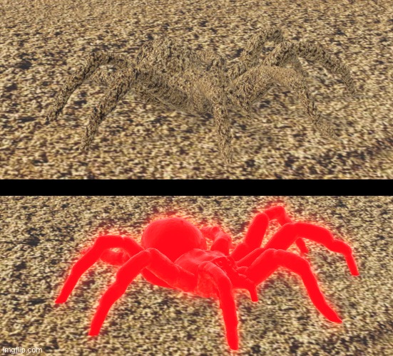 Tarantulas would be so cool if they could camouflage | made w/ Imgflip meme maker
