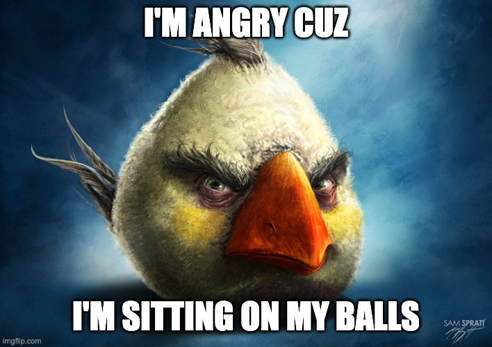 Real White Angry Bird | I'M ANGRY CUZ; I'M SITTING ON MY BALLS | image tagged in real white angry bird | made w/ Imgflip meme maker