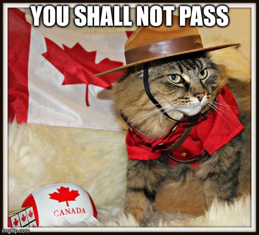 Canada Cat | YOU SHALL NOT PASS | image tagged in canada cat | made w/ Imgflip meme maker