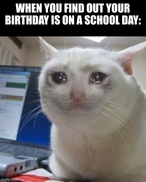 mines always on a Wednesday :/ | WHEN YOU FIND OUT YOUR
BIRTHDAY IS ON A SCHOOL DAY: | image tagged in crying cat,birthday,relatable,school,cats | made w/ Imgflip meme maker