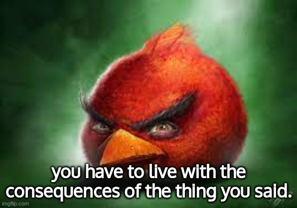 Realistic Red Angry Birds | you have to live with the consequences of the thing you said. | image tagged in realistic red angry birds | made w/ Imgflip meme maker