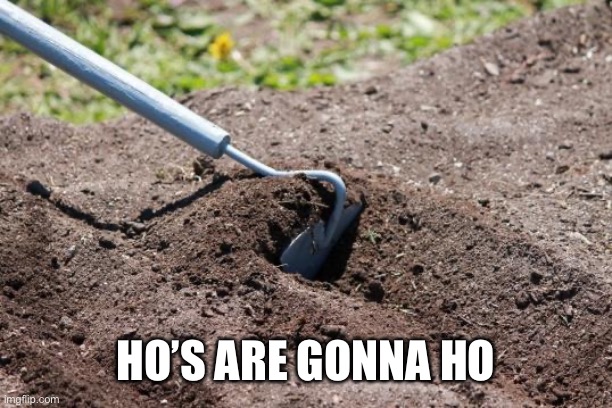 garden hoe | HO’S ARE GONNA HO | image tagged in garden hoe | made w/ Imgflip meme maker
