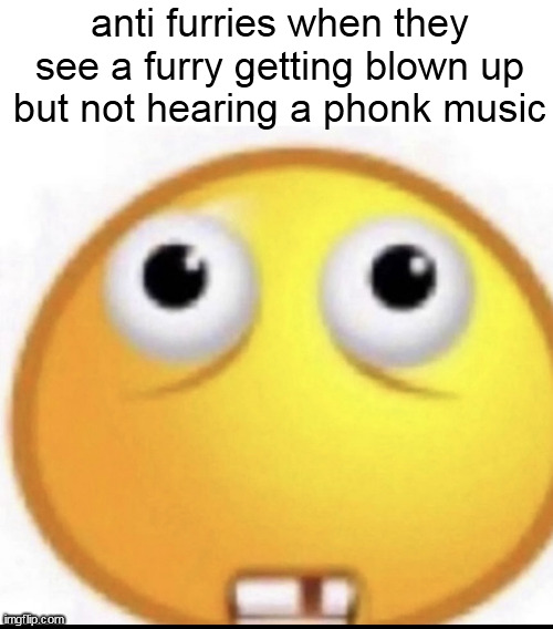 Bamboozled emoji | anti furries when they see a furry getting blown up but not hearing a phonk music | image tagged in bamboozled emoji | made w/ Imgflip meme maker