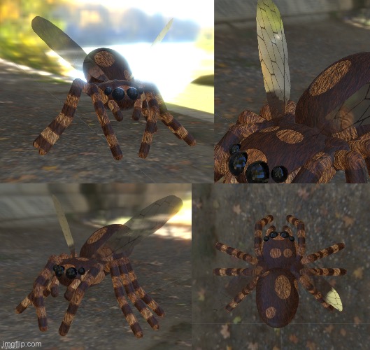 What if spiders had wings? | made w/ Imgflip meme maker