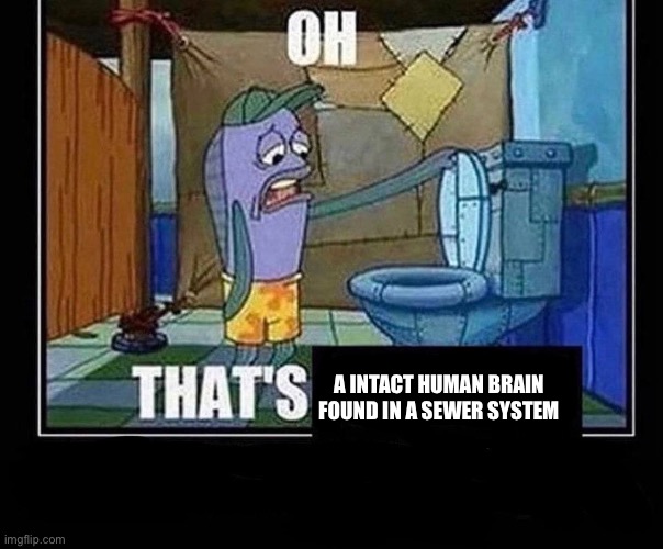 Look it up | A INTACT HUMAN BRAIN FOUND IN A SEWER SYSTEM | image tagged in oh that s | made w/ Imgflip meme maker