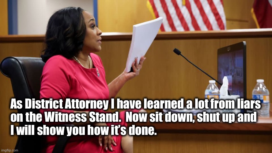 YOUR PANTS ARE ON FIRE GIRL!!! | As District Attorney I have learned a lot from liars 
on the Witness Stand.  Now sit down, shut up and 
I will show you how it’s done. | image tagged in fani | made w/ Imgflip meme maker