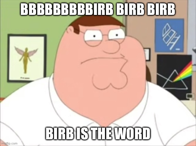 Peter Griffin Surfin Bird | BBBBBBBBBIRB BIRB BIRB BIRB IS THE WORD | image tagged in peter griffin surfin bird | made w/ Imgflip meme maker