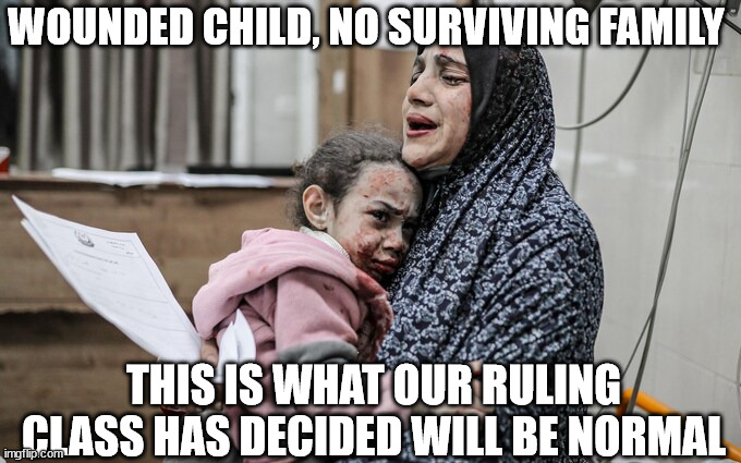 Wounded Child, No Surviving Family | WOUNDED CHILD, NO SURVIVING FAMILY; THIS IS WHAT OUR RULING CLASS HAS DECIDED WILL BE NORMAL | image tagged in gaza,idf,wcnsf | made w/ Imgflip meme maker
