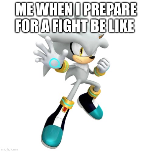 meme idea from friend | ME WHEN I PREPARE FOR A FIGHT BE LIKE | image tagged in sonic the hedgehog,sonic,sonic meme | made w/ Imgflip meme maker