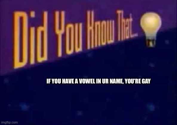 Did you know that... | IF YOU HAVE A VOWEL IN UR NAME, YOU’RE GAY | image tagged in did you know that | made w/ Imgflip meme maker