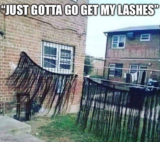 Is this it ladies? | “JUST GOTTA GO GET MY LASHES” | image tagged in lash,eyelash,my eyes | made w/ Imgflip meme maker