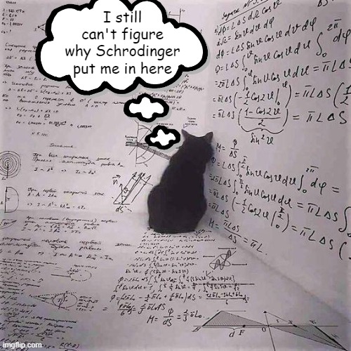 Schrodinger theorem | I still can't figure why Schrodinger put me in here | image tagged in schrodinger's cat,cat,boxed | made w/ Imgflip meme maker