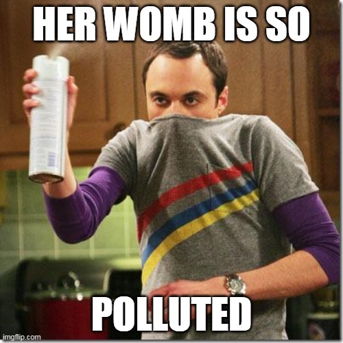 Her womb is so polluted | HER WOMB IS SO; POLLUTED | image tagged in air freshener sheldon cooper,scarface | made w/ Imgflip meme maker
