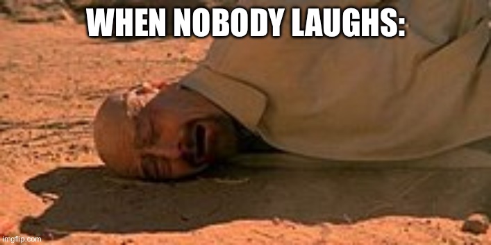 Walter White fall | WHEN NOBODY LAUGHS: | image tagged in walter white fall | made w/ Imgflip meme maker
