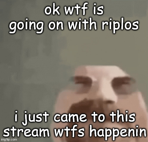 reupload because i made some error here | ok wtf is going on with riplos; i just came to this stream wtfs happenin | image tagged in heisenburger | made w/ Imgflip meme maker