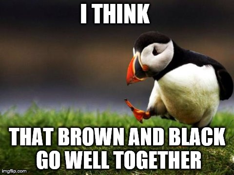 Unpopular Opinion Puffin | I THINK
 THAT BROWN AND BLACK GO WELL TOGETHER | image tagged in memes,unpopular opinion puffin,AdviceAnimals | made w/ Imgflip meme maker