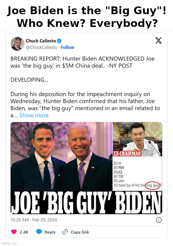 Joe Biden is the "Big Guy"! Who Knew? Everybody? | image tagged in joe biden,big guy,president,hunter biden,bag man,china | made w/ Imgflip meme maker