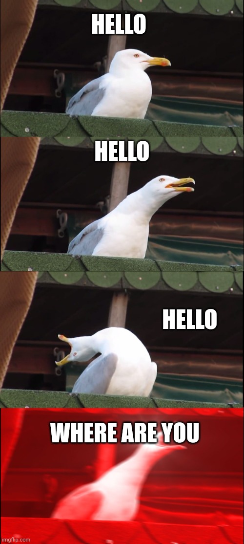 Pov you missing | HELLO; HELLO; HELLO; WHERE ARE YOU | image tagged in memes,inhaling seagull | made w/ Imgflip meme maker