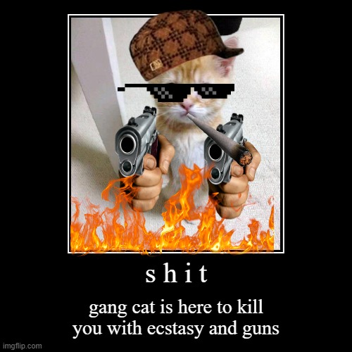 s h i t | gang cat is here to kill you with ecstasy and guns | image tagged in funny,demotivationals | made w/ Imgflip demotivational maker