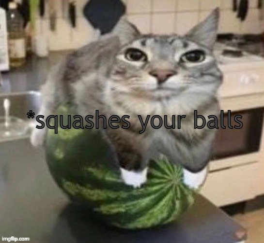 funny car | *squashes your balls | image tagged in funny car | made w/ Imgflip meme maker