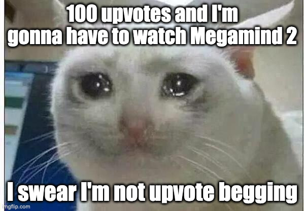 crying cat | 100 upvotes and I'm gonna have to watch Megamind 2; I swear I'm not upvote begging | image tagged in crying cat,megamind,megamind 2 | made w/ Imgflip meme maker