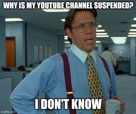 Why is my youtube account suspended | WHY IS MY YOUTUBE CHANNEL SUSPENDED? I DON'T KNOW | image tagged in memes,that would be great | made w/ Imgflip meme maker