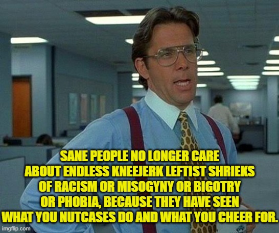 Seriously; what sane people heed leftist shrieks in regards to anything anymore? | SANE PEOPLE NO LONGER CARE ABOUT ENDLESS KNEEJERK LEFTIST SHRIEKS OF RACISM OR MISOGYNY OR BIGOTRY OR PHOBIA, BECAUSE THEY HAVE SEEN WHAT YOU NUTCASES DO AND WHAT YOU CHEER FOR. | image tagged in that would be great | made w/ Imgflip meme maker