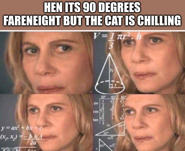 confusing sussy ඞ cat | HEN ITS 90 DEGREES FARENEIGHT BUT THE CAT IS CHILLING | image tagged in math lady/confused lady | made w/ Imgflip meme maker