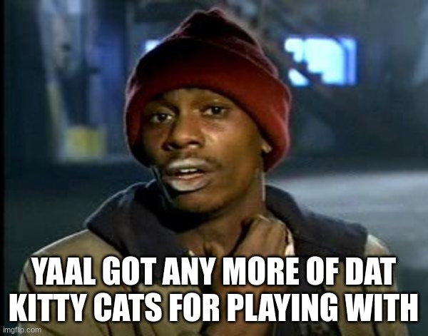 dave chappelle | YAAL GOT ANY MORE OF DAT KITTY CATS FOR PLAYING WITH | image tagged in dave chappelle | made w/ Imgflip meme maker