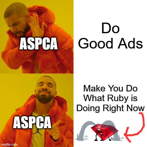 Drake Hotline Bling | Do Good Ads; ASPCA; Make You Do What Ruby is Doing Right Now; ASPCA | image tagged in memes,drake hotline bling,bfdi,ads,ruby,aspca | made w/ Imgflip meme maker