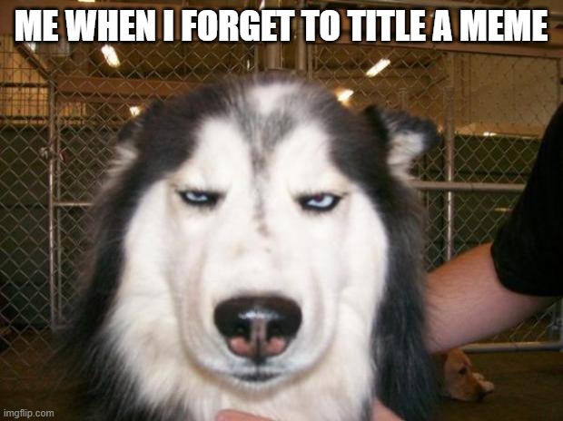 It's annoying tho | ME WHEN I FORGET TO TITLE A MEME | image tagged in annoyed dog | made w/ Imgflip meme maker