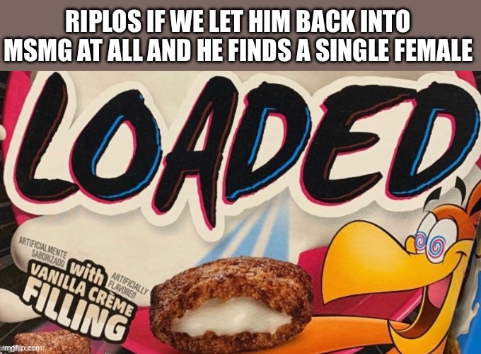 Do not forgive this mf | RIPLOS IF WE LET HIM BACK INTO MSMG AT ALL AND HE FINDS A SINGLE FEMALE | image tagged in loaded | made w/ Imgflip meme maker