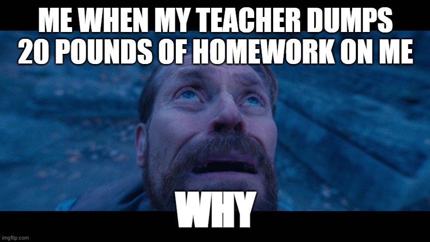 HOMEWORK PAIN | ME WHEN MY TEACHER DUMPS 20 POUNDS OF HOMEWORK ON ME; WHY | image tagged in willem dafoe looking up | made w/ Imgflip meme maker