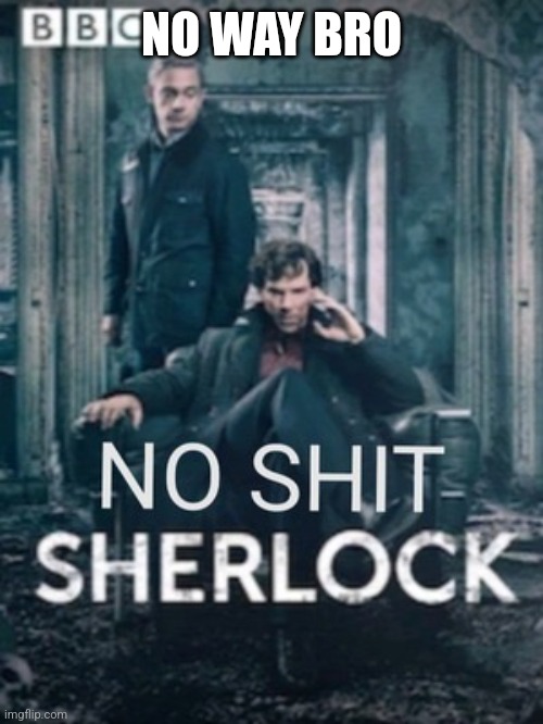 No shit Sherlock | NO WAY BRO | image tagged in no shit sherlock | made w/ Imgflip meme maker